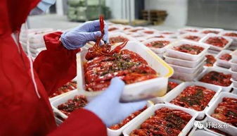 中國人民大學(xué)盱眙龍蝦美食品鑒活動(dòng)成功舉辦